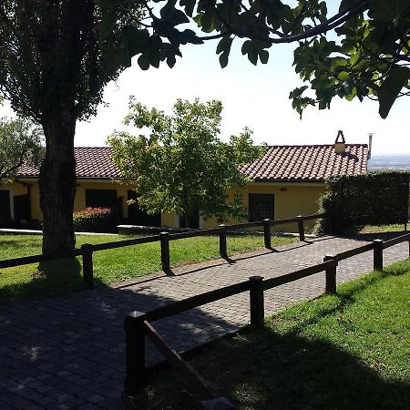 Вилла Agriturismo La Vite E Gli Ulivi Аричча Экстерьер фото