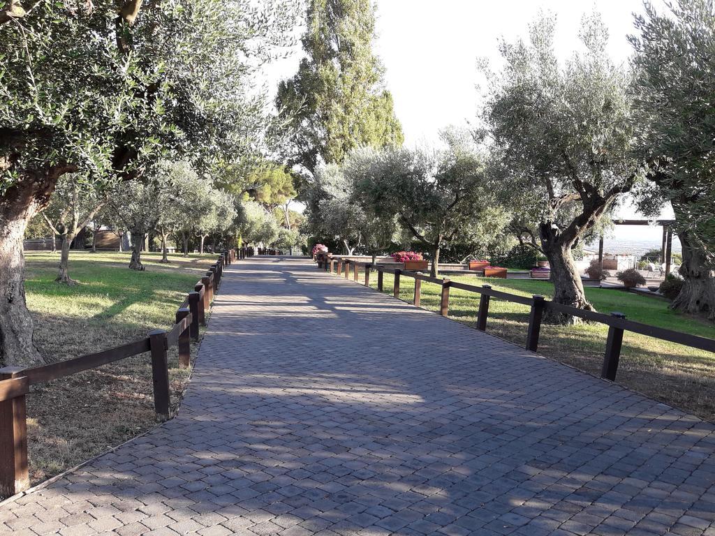 Вилла Agriturismo La Vite E Gli Ulivi Аричча Экстерьер фото